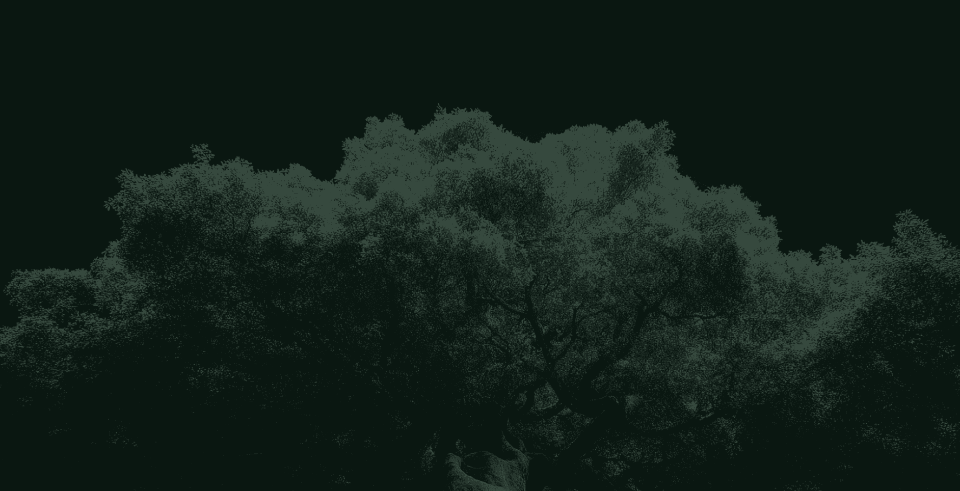 Blog | Black Forest Labs