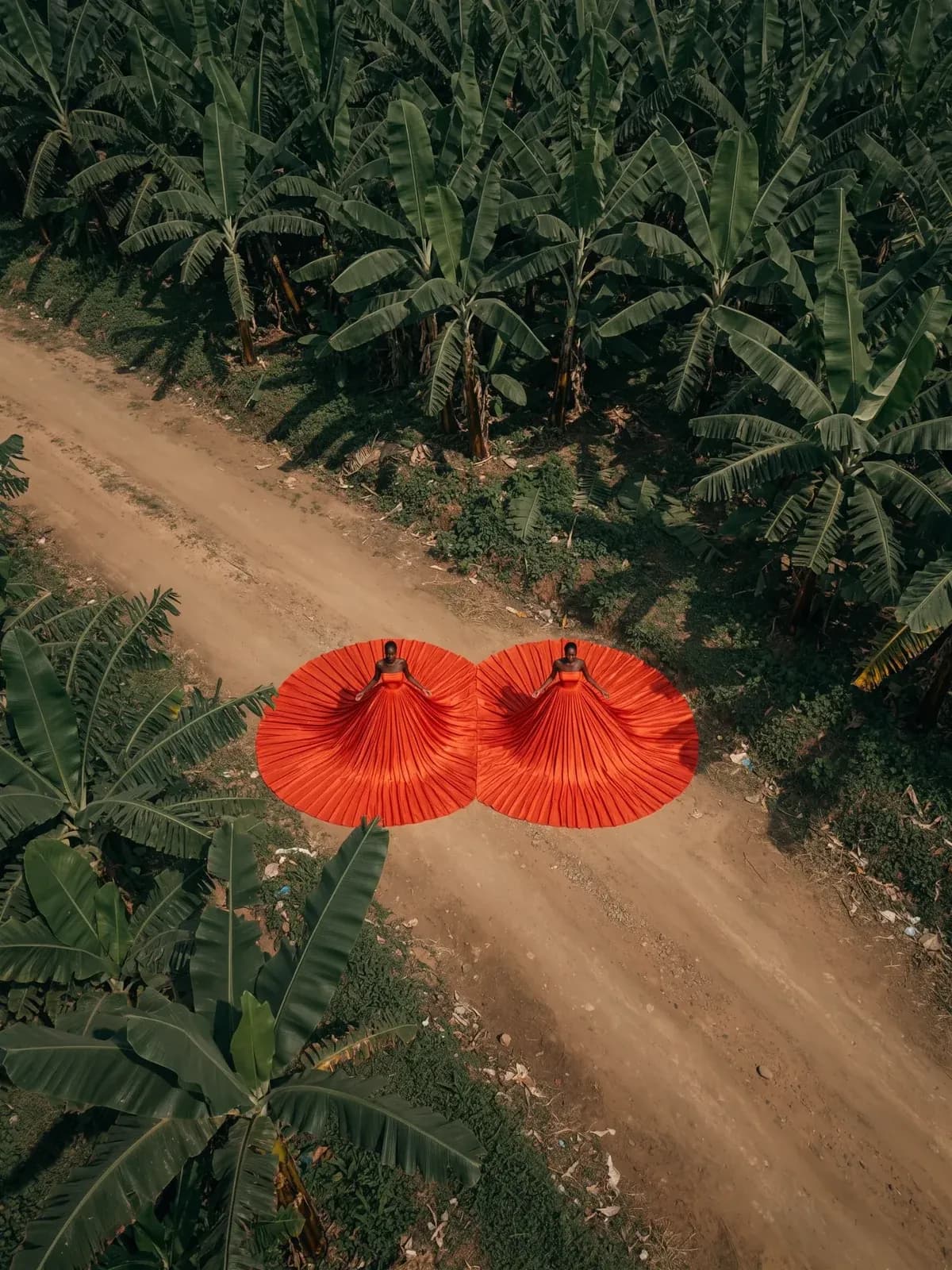 An aerial view of two women in vast pleated red gowns spread across a dirt road between banana plants.