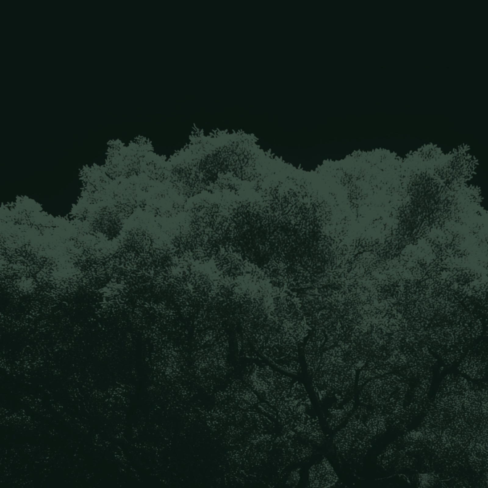 Capable, Open, and Safe: Combating AI Misuse