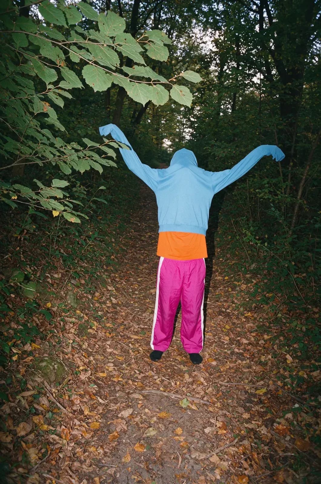 A person with a blue hoodie pulled over their head, arms spread, in pink track pants on a leafy forest path.